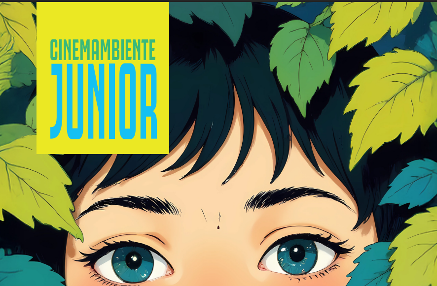 Cinema_ambiente.png