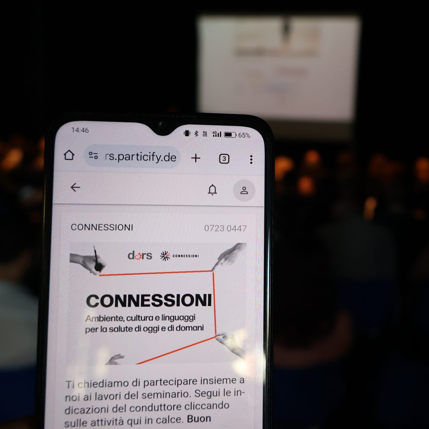 Connessioni_report.jpg